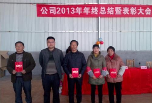 科隆公司2013年年終總結(jié)暨表彰大會(huì)